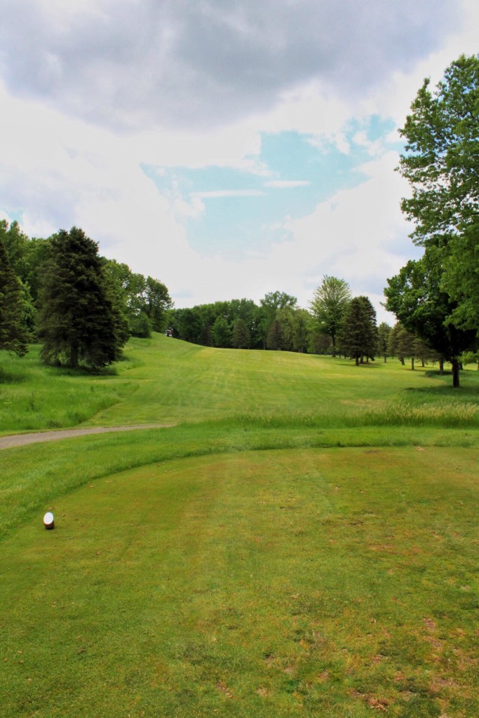 Course Photos Lake Michigan Hills Golf Club